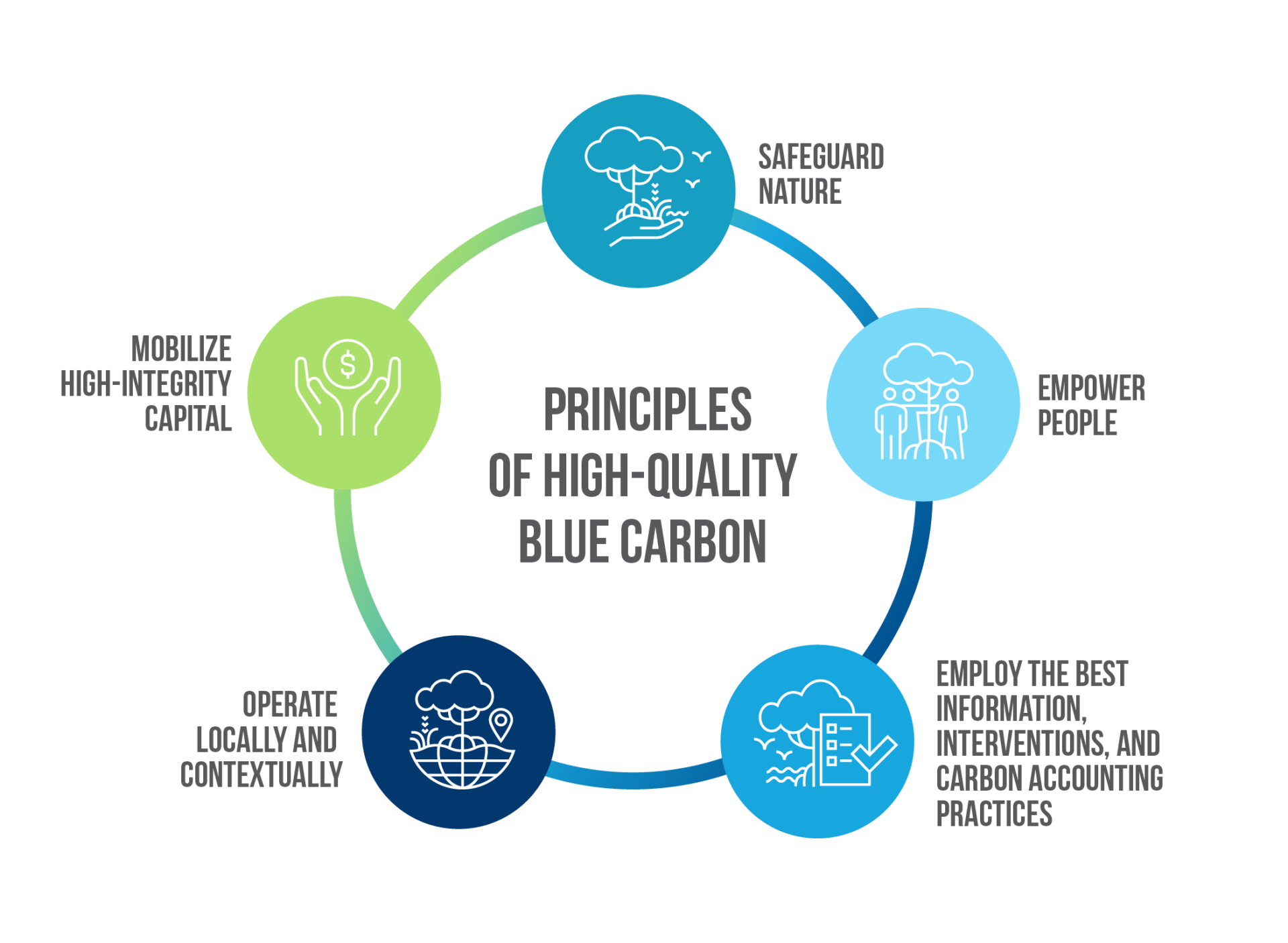 High-Quality Blue Carbon: Developing Guidance For An Emergent Carbon ...