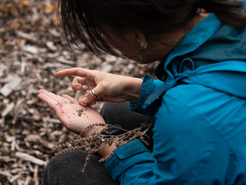 A woman holds out her hand showing a handful of seeds.