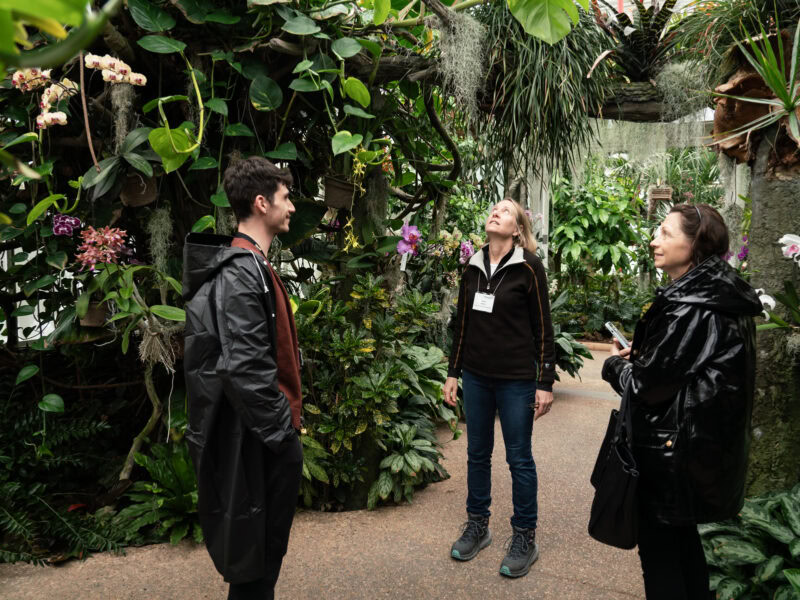 Two women and one man stand in an orchid greenhouse, looking up.