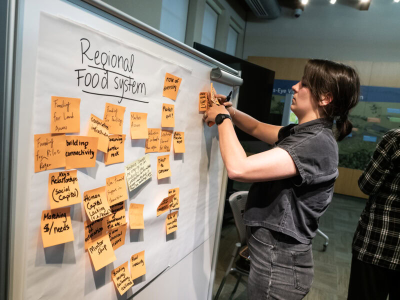 A woman adds a post-it note to a whiteboard covered in post-it notes.