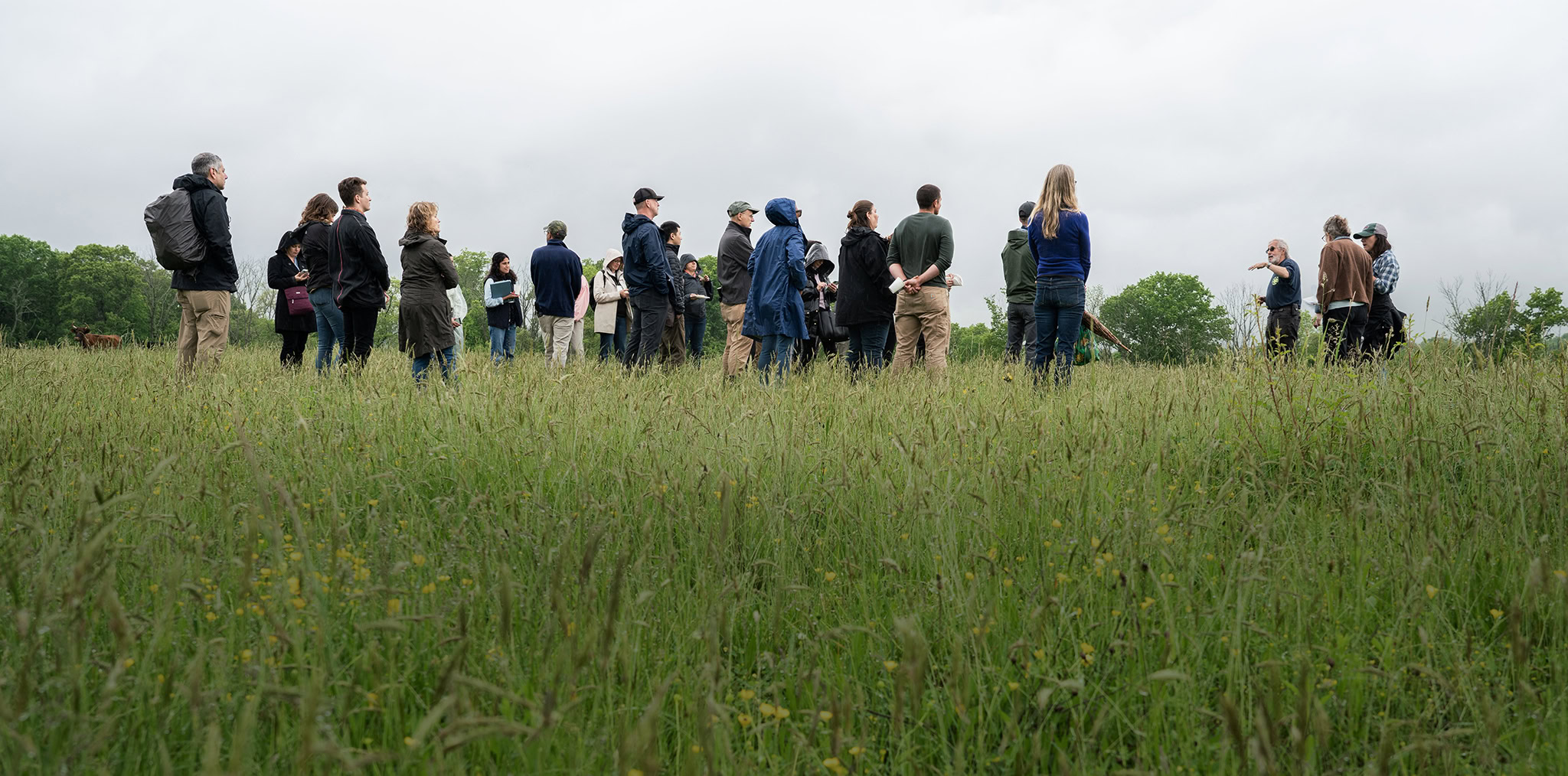 A group of people stand in a large pasture.